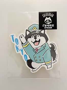 激レア！日本限定！バートンご当地限定ステッカー47都道府県フルコンプリート！ 51epdXN-+lL._UF350,350_QL50_.jpg